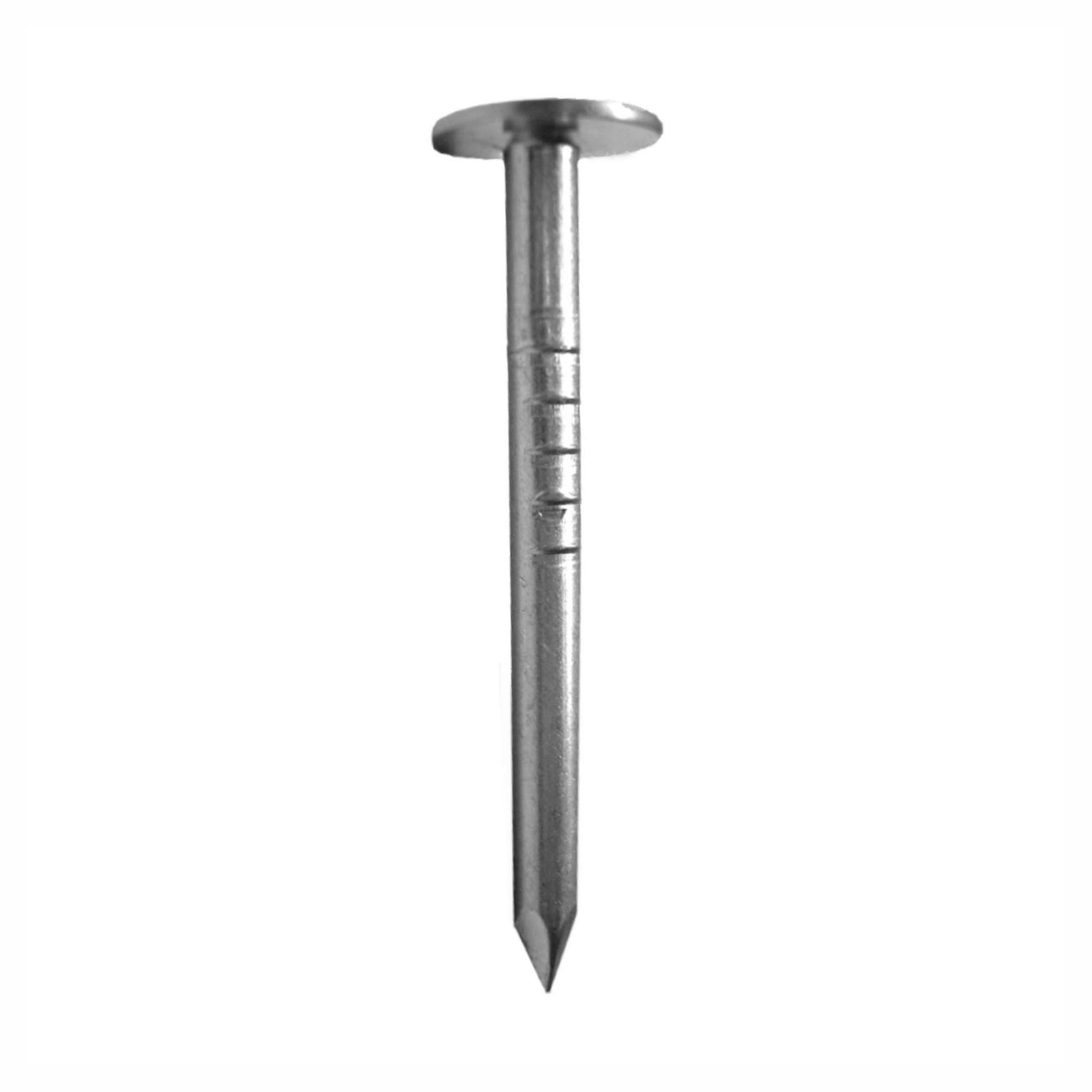 Clous à toiture électrogalvanisé, 1-1/4" (125 unités)