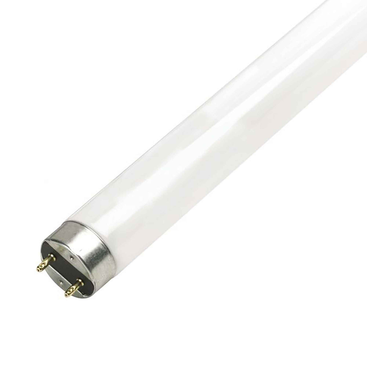 Tube fluorescent T8 lumière du jour, 18"