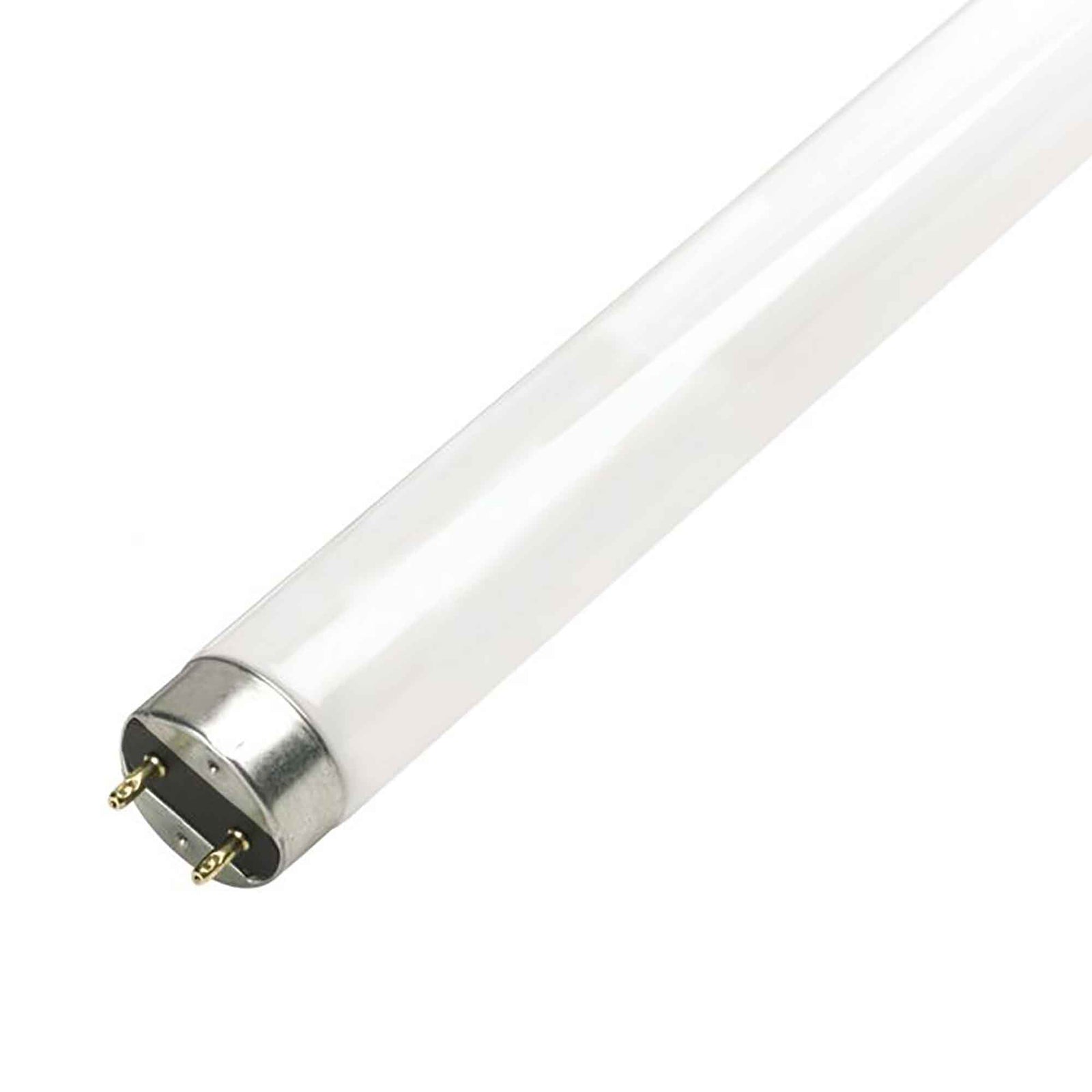 Tube fluorescent T8 lumière du jour, 18"