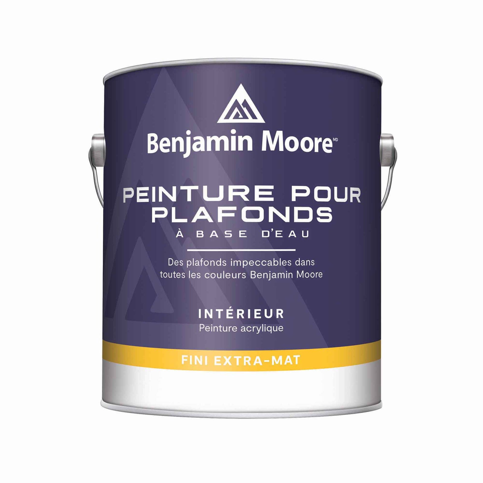 Peinture d'intérieur à base d'eau pour plafond extra-mat base 1, 3,79 L 