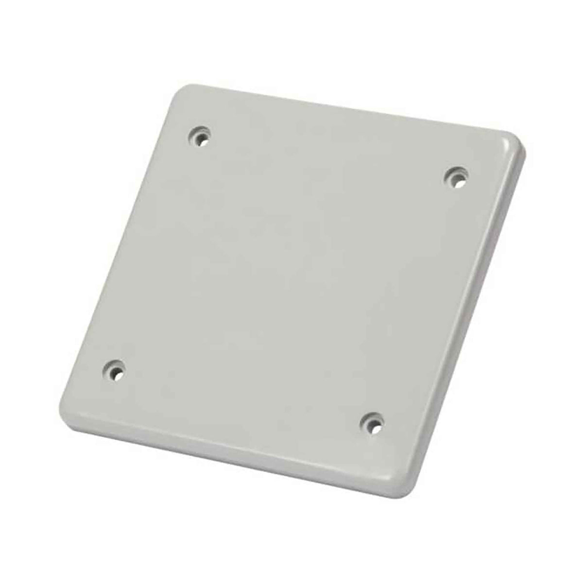 Plaque de recouvrement vierge BRC20-2-U en PVC avec joint, 2 groupes  