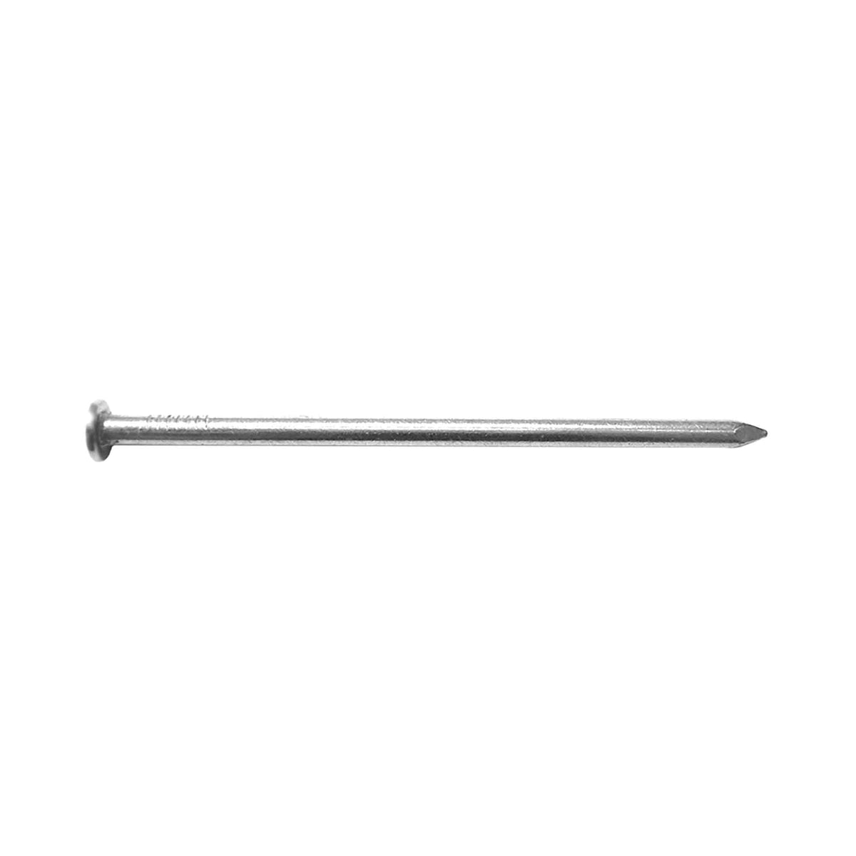 Clou commun brillant de 3-1/2", boîte de 50 lb