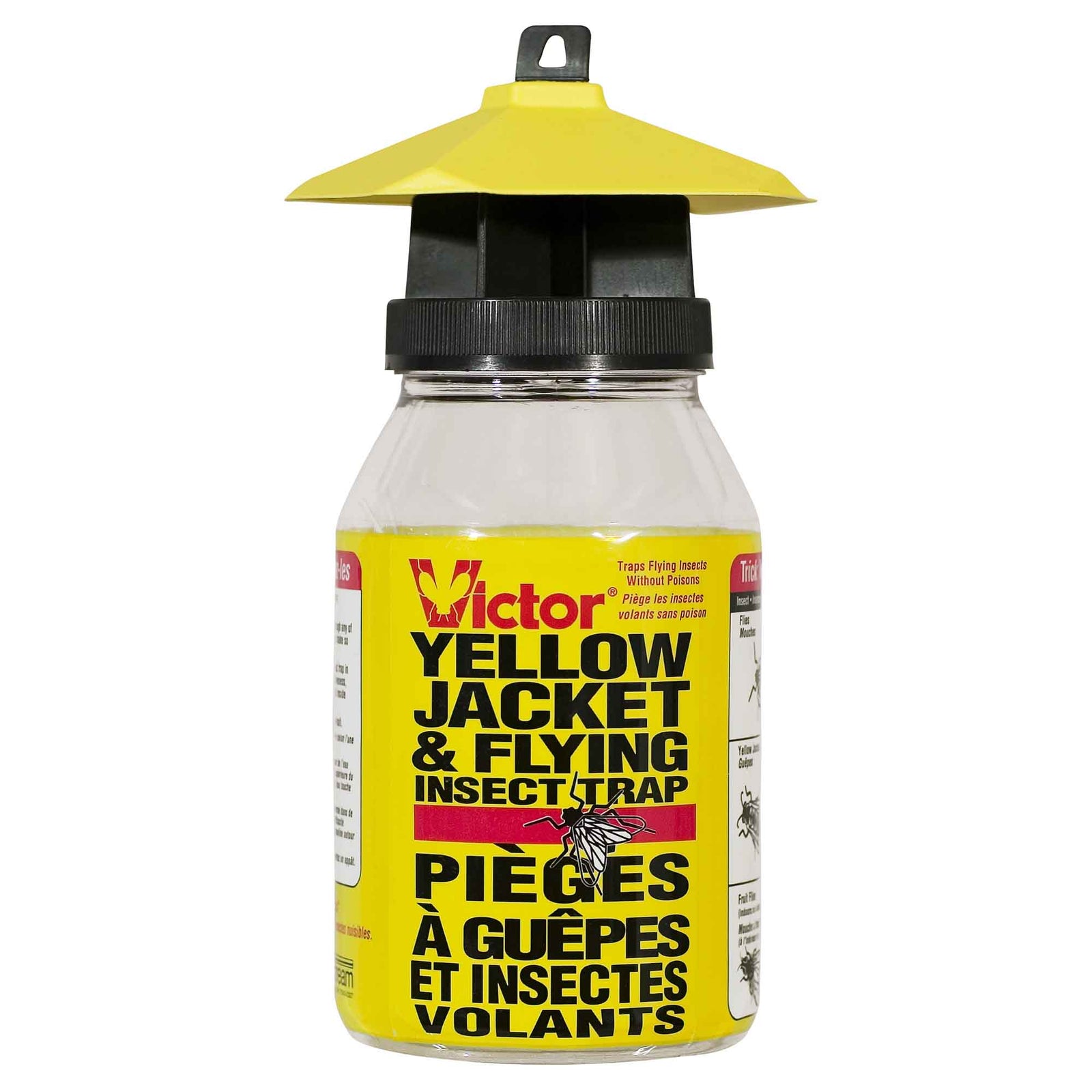 Piège à guêpes et insectes volants, sans poison et réutilisable 