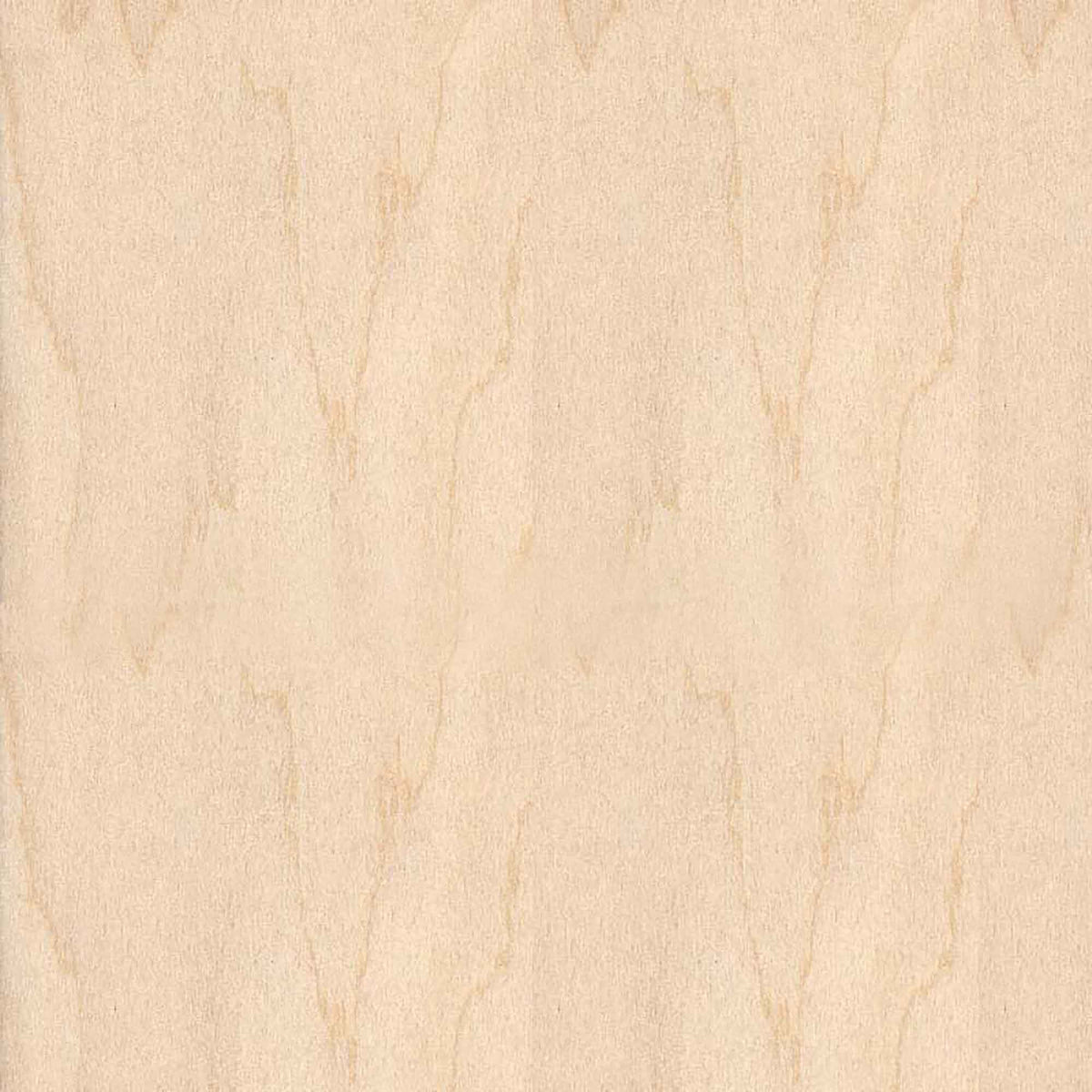 Bande de chant en merisier blanc, 13/16'' x 25'